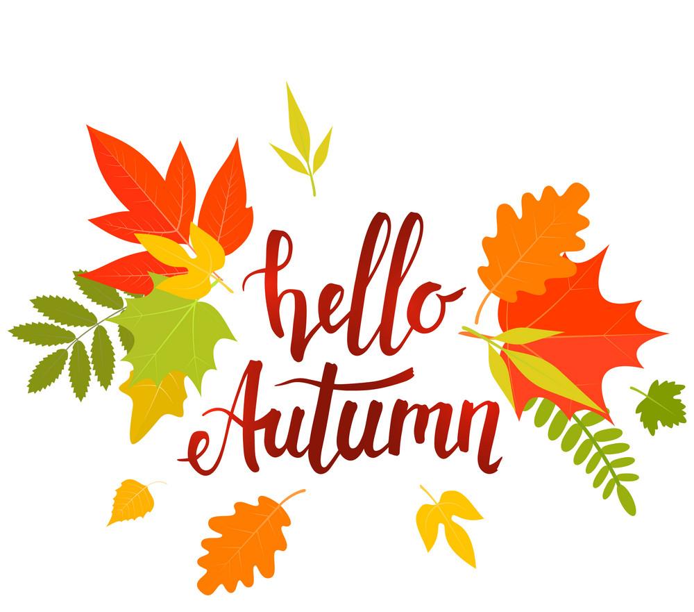 hello-autumn- – Aroma